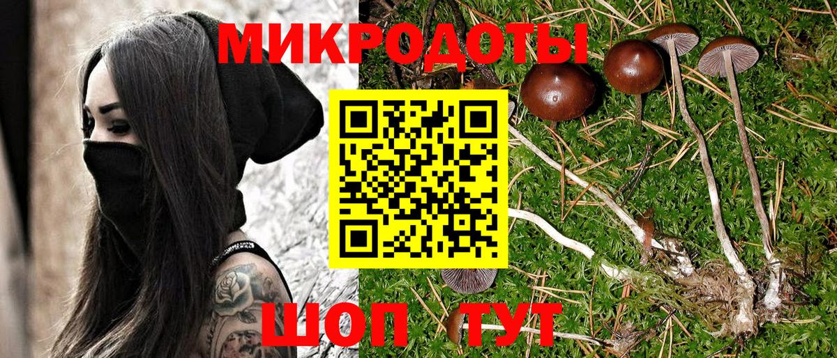 Ревда  Псилоцибиновые грибы ЛСД  Вход с VPN 